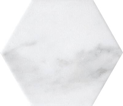 SERANİT Frezya Fon Mat Sırlı Porselen 10x11.6 Beyaz - 1