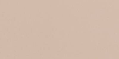 SERANİT Serena Fon Parlak Sırsız Porselen 60x120 Kırmızı - 1
